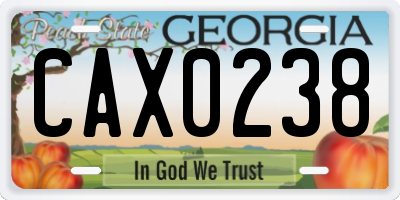 GA license plate CAX0238