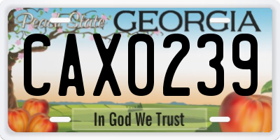 GA license plate CAX0239