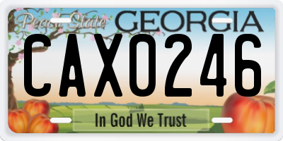 GA license plate CAX0246
