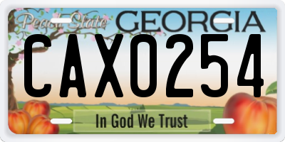 GA license plate CAX0254