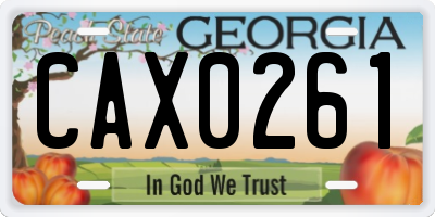 GA license plate CAX0261