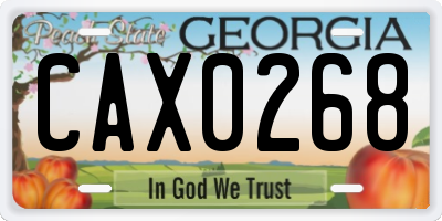 GA license plate CAX0268