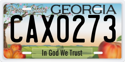 GA license plate CAX0273