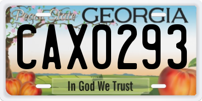GA license plate CAX0293