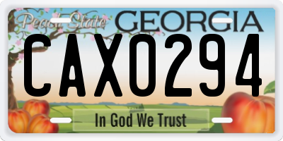 GA license plate CAX0294
