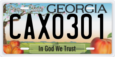 GA license plate CAX0301