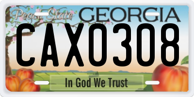 GA license plate CAX0308