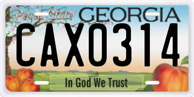 GA license plate CAX0314