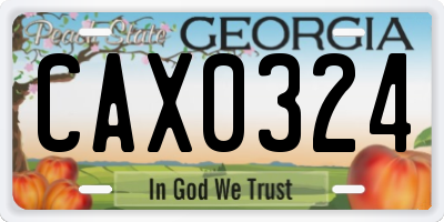 GA license plate CAX0324