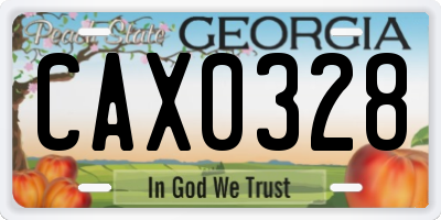 GA license plate CAX0328