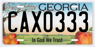 GA license plate CAX0333