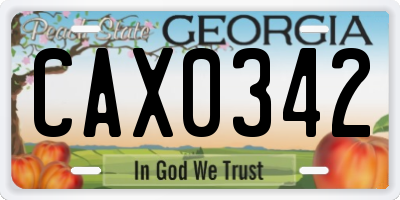 GA license plate CAX0342