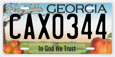 GA license plate CAX0344