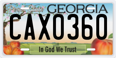 GA license plate CAX0360