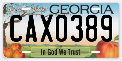 GA license plate CAX0389