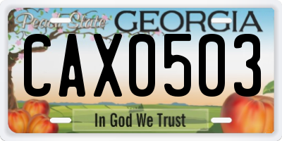 GA license plate CAX0503