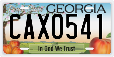 GA license plate CAX0541