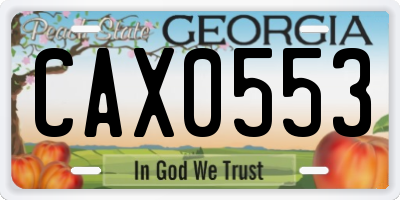 GA license plate CAX0553