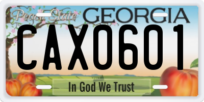 GA license plate CAX0601