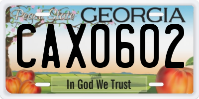 GA license plate CAX0602
