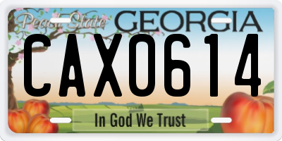 GA license plate CAX0614