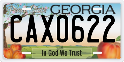 GA license plate CAX0622