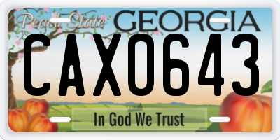 GA license plate CAX0643