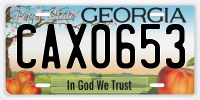 GA license plate CAX0653