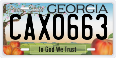 GA license plate CAX0663