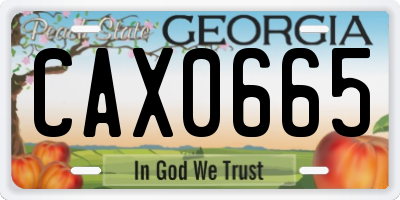 GA license plate CAX0665