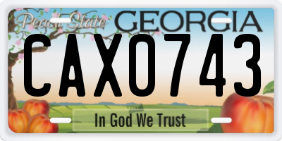 GA license plate CAX0743