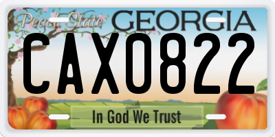 GA license plate CAX0822