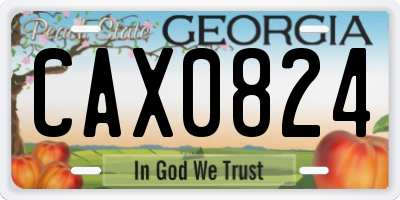 GA license plate CAX0824