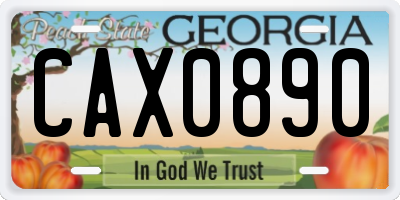 GA license plate CAX0890