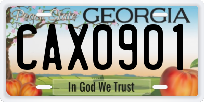 GA license plate CAX0901