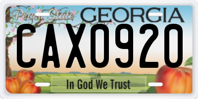 GA license plate CAX0920