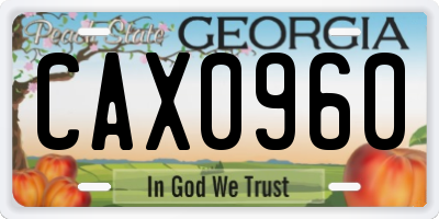 GA license plate CAX0960