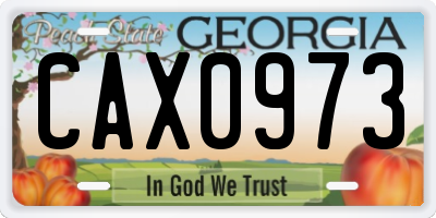 GA license plate CAX0973