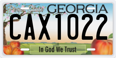 GA license plate CAX1022