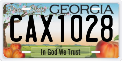 GA license plate CAX1028
