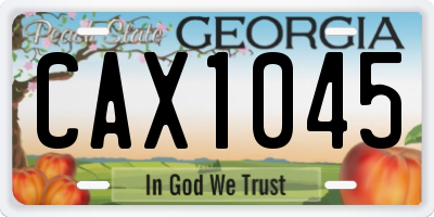 GA license plate CAX1045