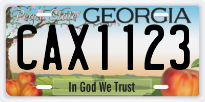 GA license plate CAX1123