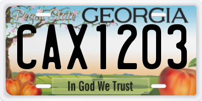 GA license plate CAX1203