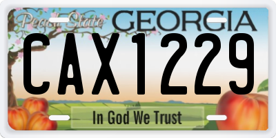 GA license plate CAX1229