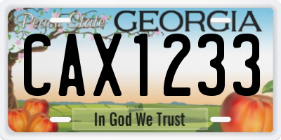 GA license plate CAX1233