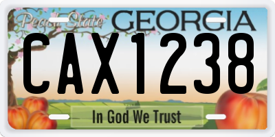GA license plate CAX1238