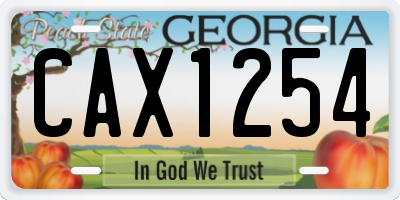 GA license plate CAX1254