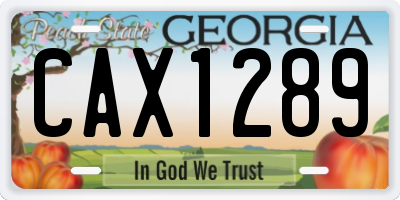 GA license plate CAX1289