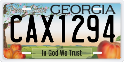 GA license plate CAX1294