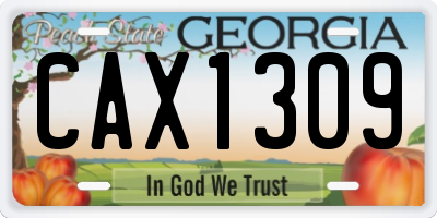GA license plate CAX1309